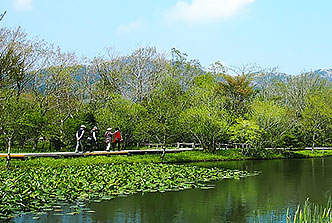 箱根湿生花園